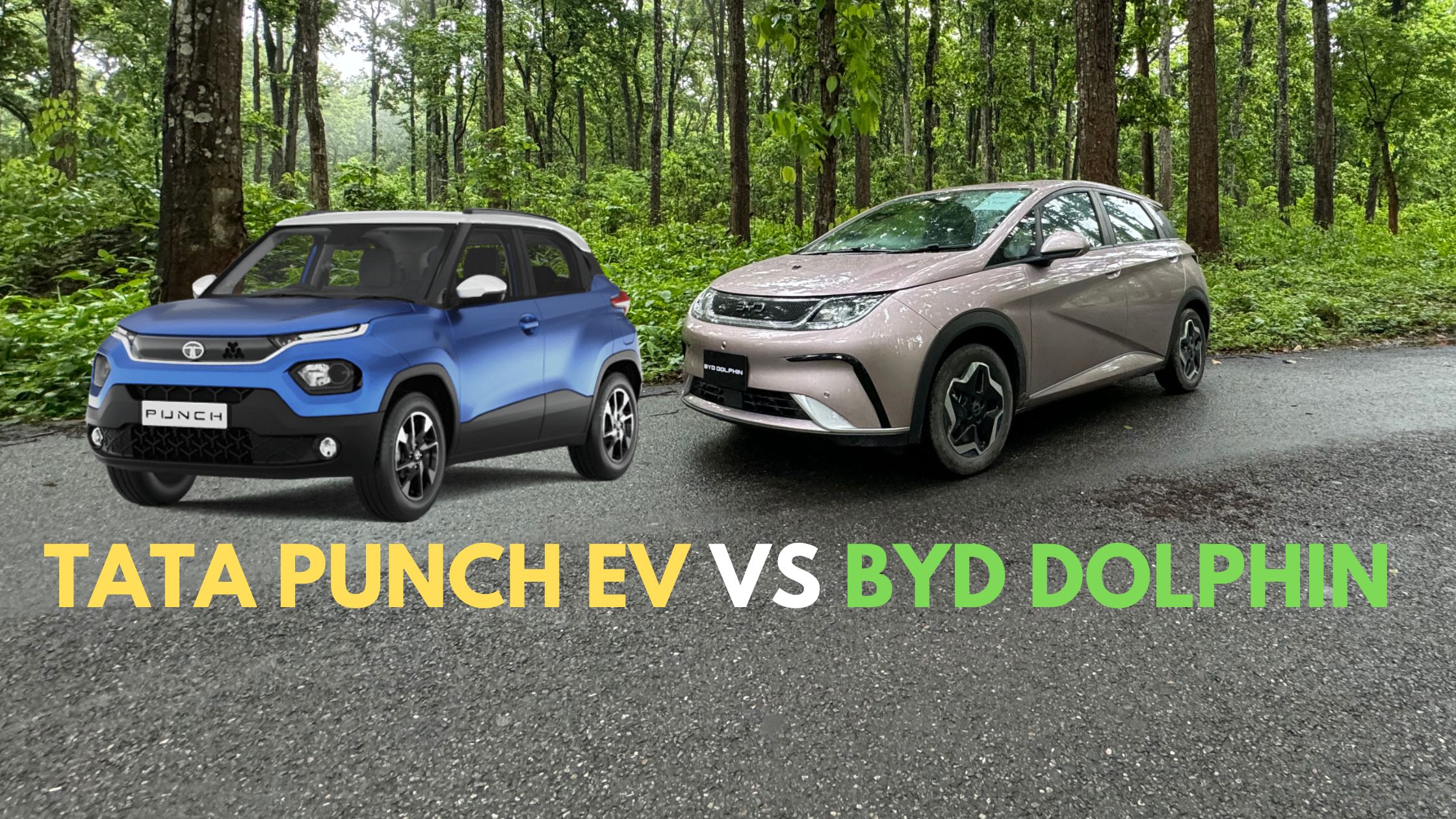 Tata Punch EV Vs BYD Dolphin Comparison : Specs & Price